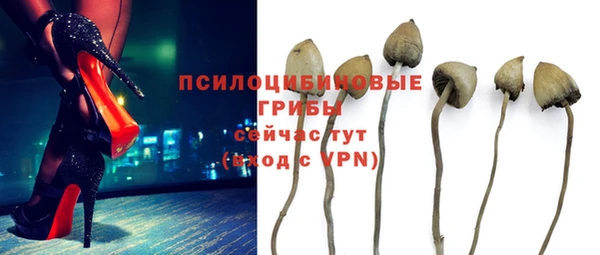 ALPHA-PVP Белокуриха